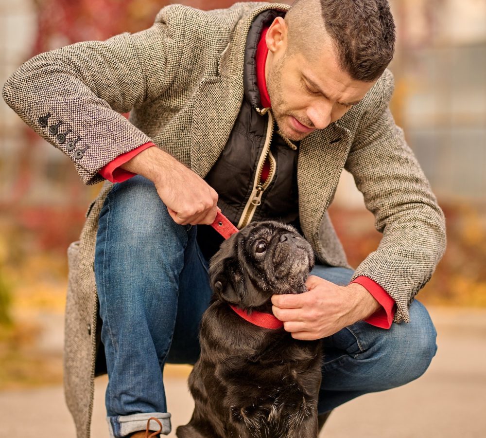 A pet owner putting a dog-collar on his pets neck