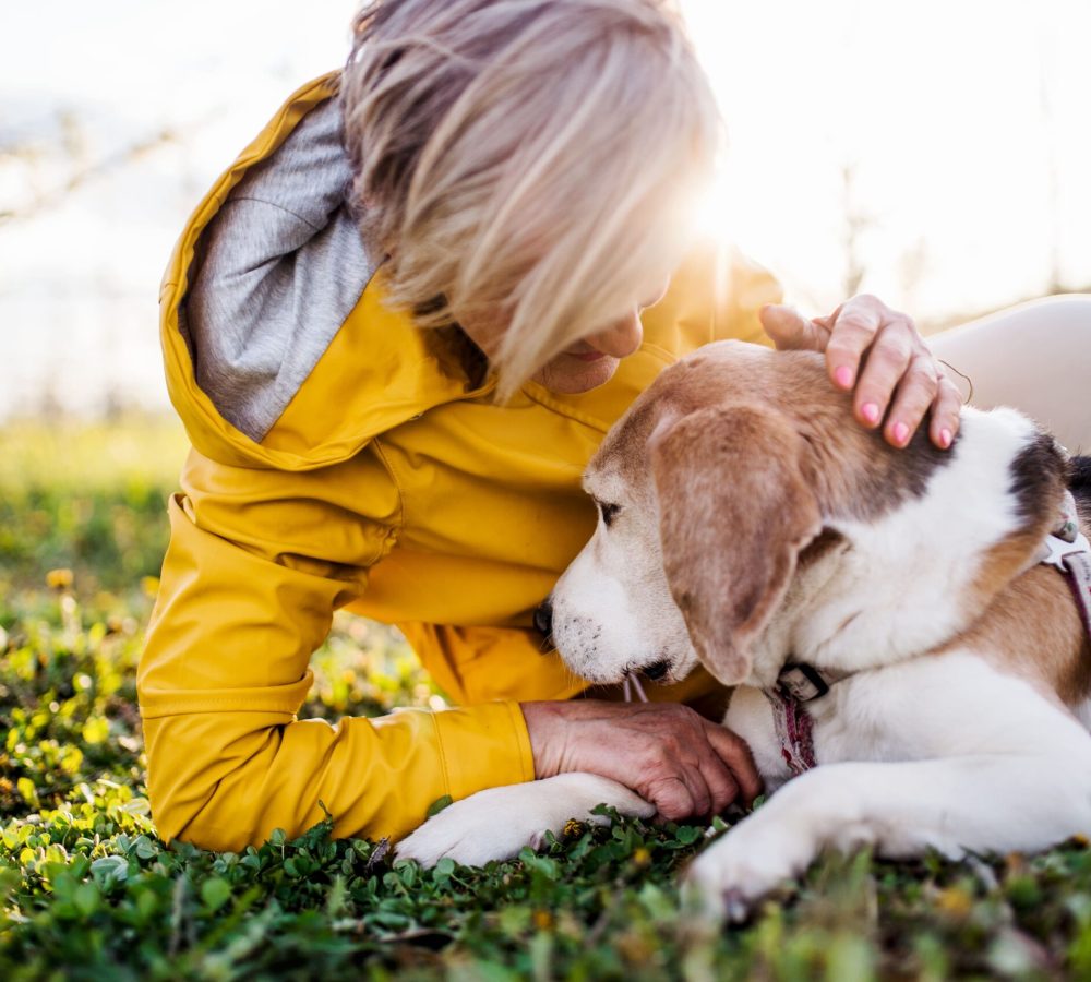 front-view-of-senior-woman-lying-on-grass-in-sprin-2022-02-02-04-50-40-utc